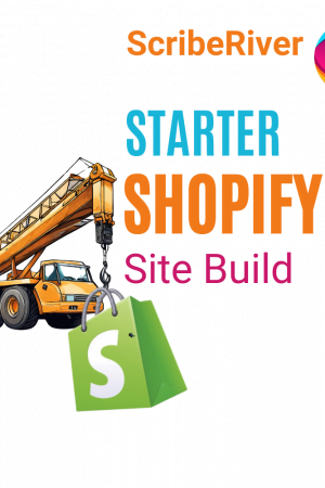 Shopify Site Build Start Up Small Business